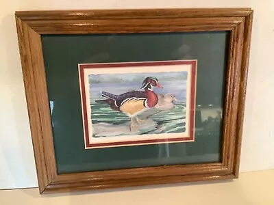 Vintage 1992 Original Mallard Duck Print By P Brent Framed 12” X 9.5” • $20