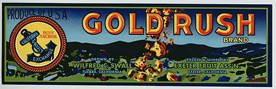 GOLD RUSH Vintage Fruit Crate Label Mining Miner Gold Pan AN ORIGINAL LABEL • $3.99