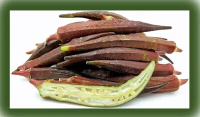 Organic OKRA Seeds -RED BURGUNDY- Heirloom Non-GMO -UK Premium Seeds X10 • £3.99