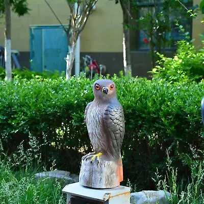 Realistic Wildlife Red Tailed Perching On Tree Stump Statue Birds Of Prey • £12.42