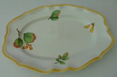 Villeroy & Boch PARKLAND House And Garden Collection Large Serving Plate • $149