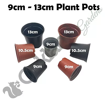 Plant Pots 9cm 10.5cm 13cm ( 1 Litre ) Plastic Tall Full Size Flower Pot Seeds • £9.60