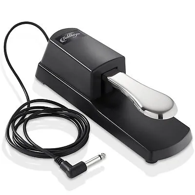 Sustain Foot Pedal With Polarity Switch For Digital Electronic Keyboard Pianos • $13.49