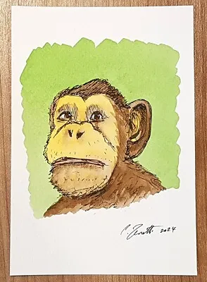 CHRIS ZANETTI Original Watercolor Painting MONKEY Wildlife Animal 6x4 Signed Art • $10