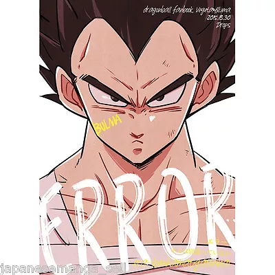 $24.99 • Buy Dragon Ball Doujinshi Vegeta X Bulma (B5 28pages) Error Drops