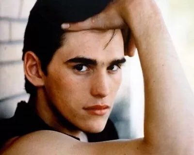 Matt Dillon 8x10 Real Photo Portrait From The Outsiders • $10.99