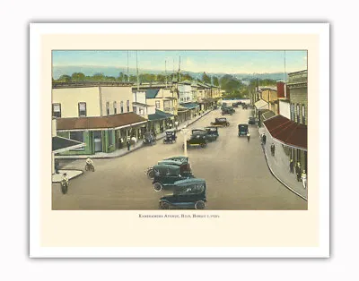 Kamehameha Avenue Hilo - Big Island Hawaii Vintage Hawaiian Travel Poster 1920s • $12.98