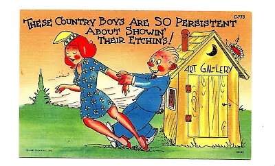 Vintage 1930s Comic Postcard Lady Man Outhouse Postcard Country Southern Humor • $2.70