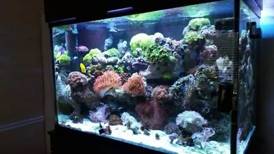 150 Gallon Extra Tall Marineland Aquarium Stand Hood - Saltwater Reef • $495