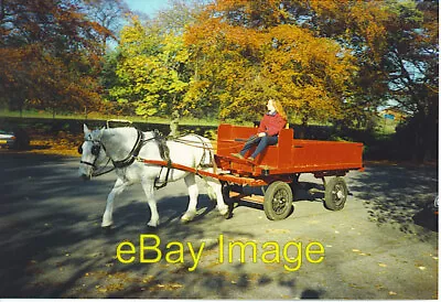 Photo 6x4 Putting The Horse Before The Cart Aberdeen City Corporation Had C1995 • £2