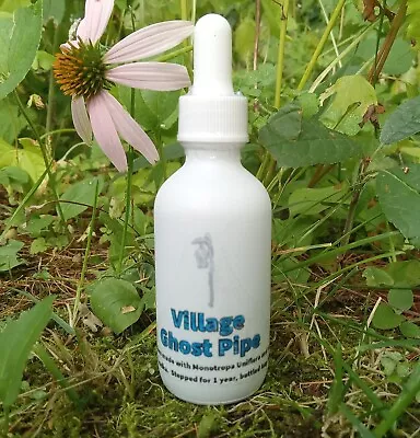 Village Ghost Pipe Tincture Steeped For Over 1 Yr In 2oz Bottle IBS Pain Relief • $25
