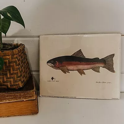 Vintage 1994 Bullhead Trout Litho Print | Vintage Fish Print • $16