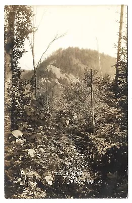 Real Photo Vermont VT Deer Leap & Pico Trail Vintage RPPC Postcard • $8.95