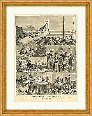 Preparing The Oil Sardines Schlegel Fish Factory Cans Woodcut E 15337 • £38.82