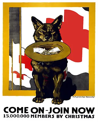 Vintage Red Cross POSTER.Home Wall.German Shepherd Dog.Decor.Army.1027 • $18