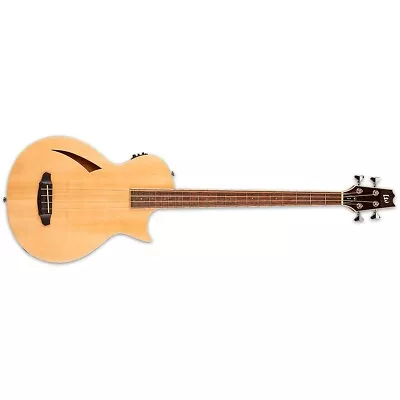 ESP LTD TL-4 Thinline Natural Acoustic-Electric Bass Guitar TL4 - BRAND NEW • $725