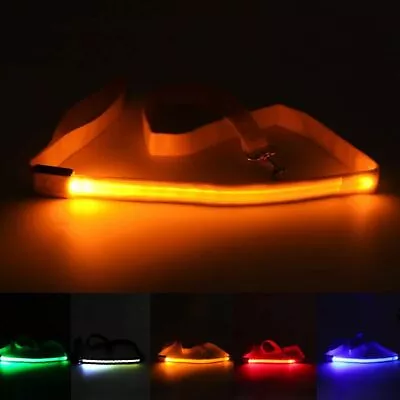 LED Flashing Dog Lead Light Up Luminous Night Pet Safety Walking Leash Nylon US • $6.92