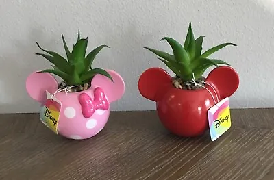 Disney Mickey & Minnie Mouse Faux Succulent Terrarium 4 1/2” New Lot Of 2 NWT • $22.95