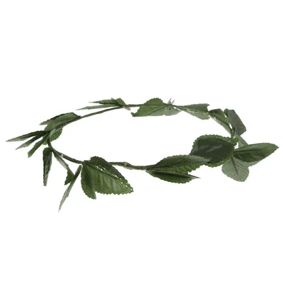 £5.27 • Buy Womens Green Leaves Wreath Headpiece Toga Dress Up Party Costume Accessories