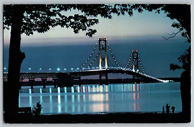 Michigan - The Mackinac Bridge - The Water Wonderland - Vintage Postcard 1910 • $3.99