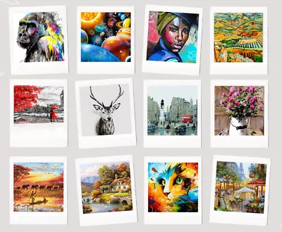 £6.99 • Buy DIY Oil Acrylic Painting Kit Paint By Numbers Choose Your Own Designs Best 2022
