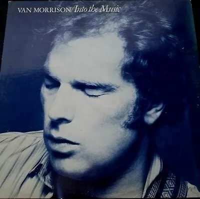 Van Morrison Into The Music Vinyl • $25