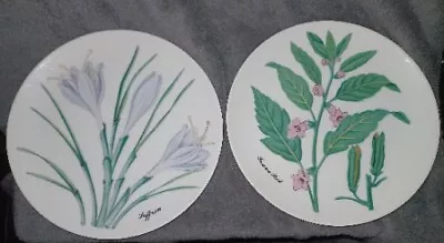 2 Salad Plates Botanical Herbs Sesame Seed Saffron Japan Horchow Collection • $6