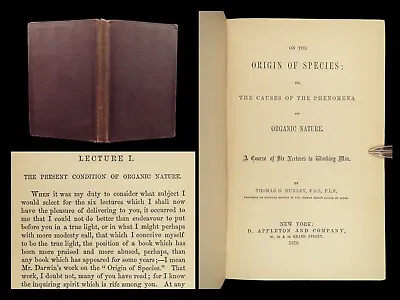 1870 Origin Of Species EVOLUTION Thomas Huxley Essays Darwin Philosophy Science • $499