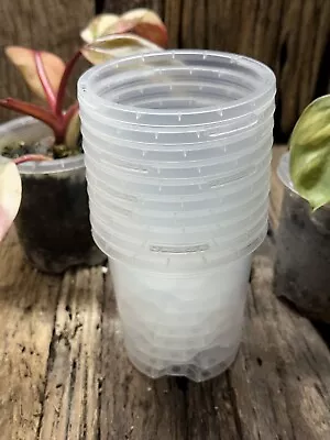 $8.50 • Buy ORCHID / AIROID CLEAR POT CLEAR - 75mm X 90mm - Pack Of 10 Pots