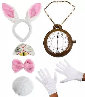 Wonderland White Rabbit Childs Fancy Dress Costume Ears Tail Nose Face Clock • £13.99