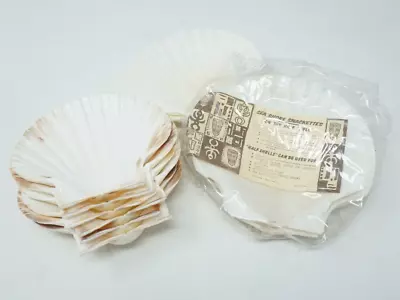 Lot Of 10 Flat Sea Shells Half Shells Scallop Fan Shells Sea Shore Snackettes • $24.99