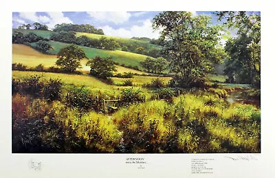 David Dipnall  Afternoon Across The Meadows  Limited Edition Signed Sunlight Art • £39.99