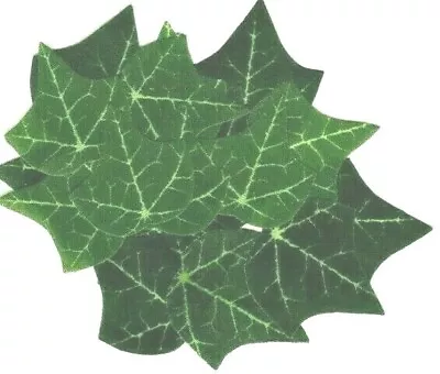 20 Silk Holly Leaves Ideal For Card Making Christmas & Floral Crafts  • £3.50