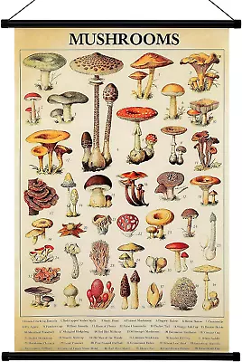 Geyee Vintage Mushroom Poster Fungus Wall Art Prints Rustic Mushroom Wall Chart • $13.66