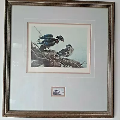 Michael Dumas Spring Mist Wood Duck Framed Signed Print With Stamp 493/500  • $112.88