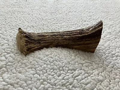 Split Moose Antler Base Dog Chew! Sheds Deer Crafts • $29