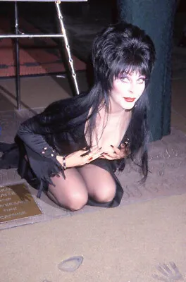 Cassandra Peterson Elvira  Sexy Celebrity Rare Exclusive 8.5x11 Photo 1245 • $4.99