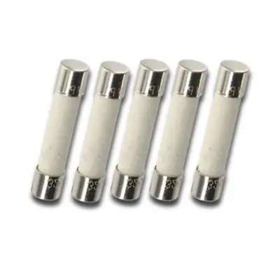 Pack Of 5 ABC 10A 250v Fast Blow Ceramic Fuses 6x30mm F10A 10 Amp (1/4 Inch X  • $8.45