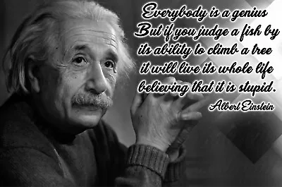 Math Posters Science Posters Albert Einstein Quote Poster | Albert Einstein P010 • $10.49