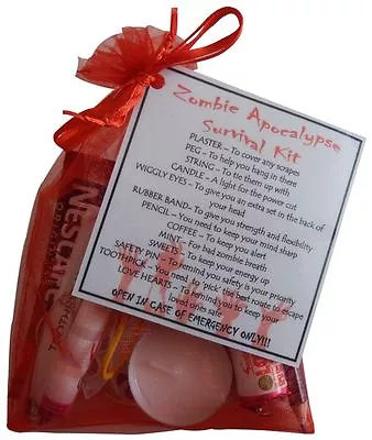 Zombie Apocalypse Survival Kit Gift. Great Gift For Walking Dead Fans • £6.95