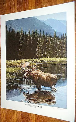 NEAL  R  ANDERSON  SIGNED  Numbered  MOOSE  PRINT  Wildlife Art • $65