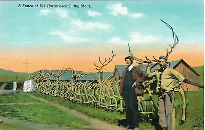 Vintage Postcard A Fence Of Elk Horns Near Butte MONTANA  • $4.99