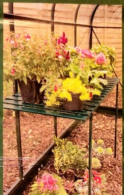 £49.99 • Buy Halls GREEN 4FT Folding Staging Shelving For Hall's Greenhouse GENUINE BNIB