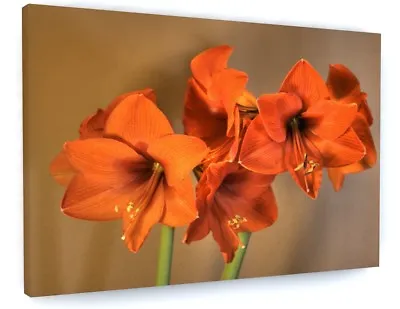 Orange Lily Flower Meadow Canvas Picture Print Wall Art #5296 • £21.97