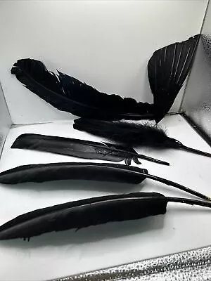 Vtg LOT 6 Ostrich Plumes Feathers Fascinator Millinery Costume Black Mixed Lot • $40