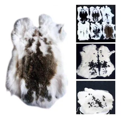 1X Spotted RABBIT FUR PELTS TANNED Gray CRAFTS Leather Fur EXCELLANT FOR SEWING • $11.39