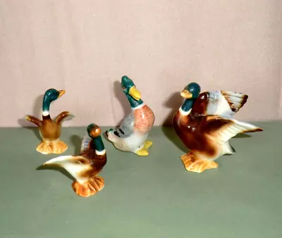 Vintage Flock Of Mallard Duck Miniature Bone China Ornaments X 4 • £10