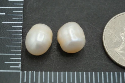 $6.99 • Buy Loose Baroque Pearls 15ct Undrilled (Natural Australia South Sea Saltwater)ssc64