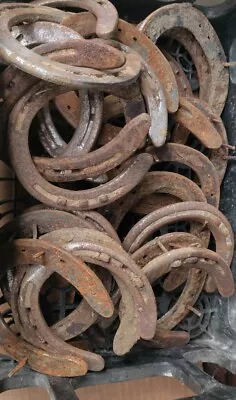 Lot Of 20 Horsehoes Steel Horseshoes Western Decor Metalworking Welding Craft • $51