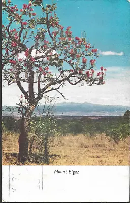 Mount Elgon Kenya/Uganda - Postcard By Peter Hill KUT Stamp 1957 • £4.50